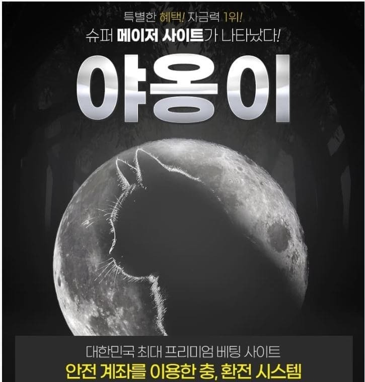 야옹이1.jpg