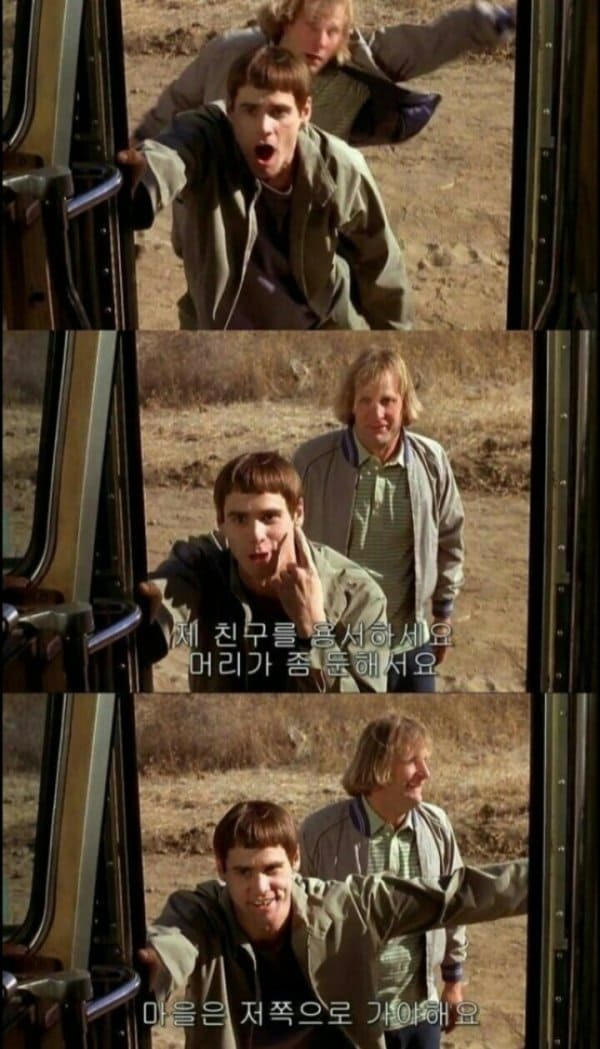 17.jpeg