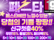 페스타 먹튀검증