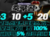 토토사이트 축구공 안내