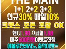 토토사이트 더메인 안내