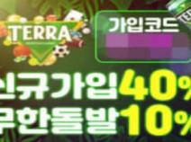 토토사이트 테라 먹튀검증 안내